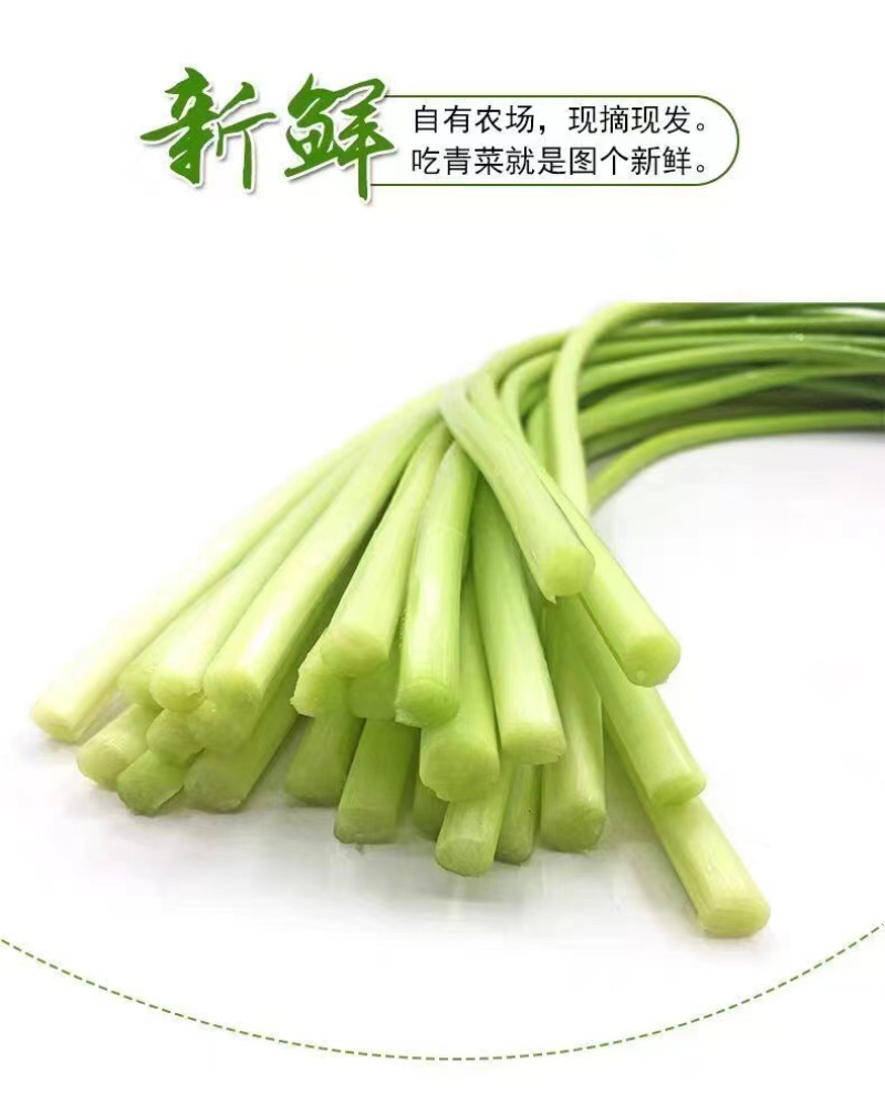 2024年新货红帽蒜苔支持一件代发