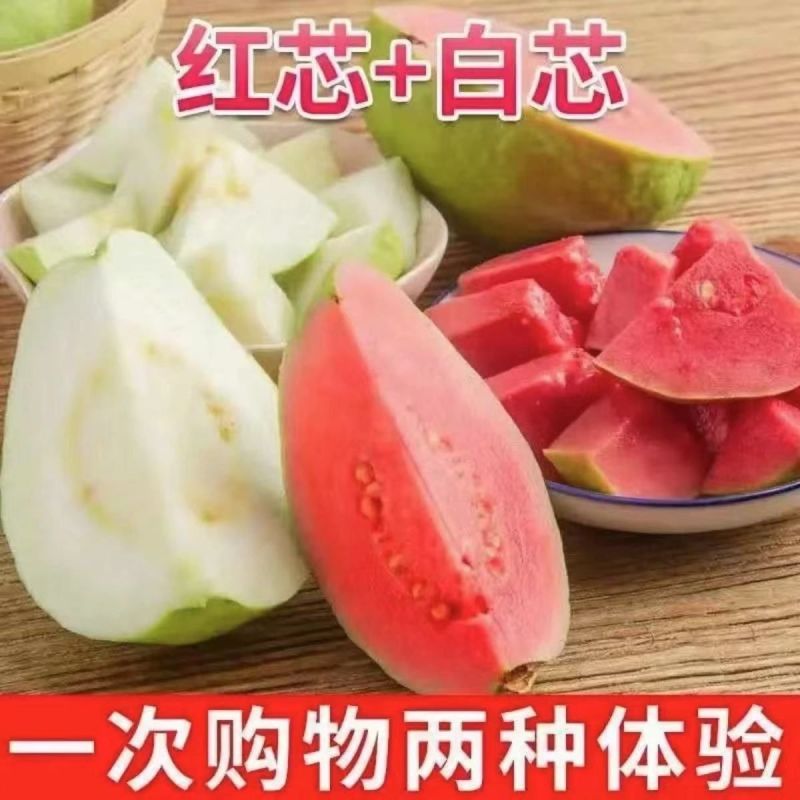 广东广西番石榴(芭乐)红心白心货源稳定常年供应可一件代发