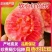 广东广西番石榴(芭乐)红心白心货源稳定常年供应可一件代发