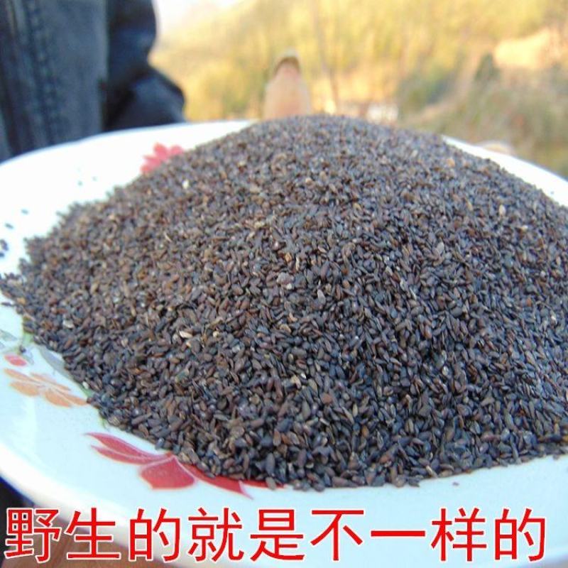 【野生车前子】无硫车前子500克袋装当季新货多规格包邮