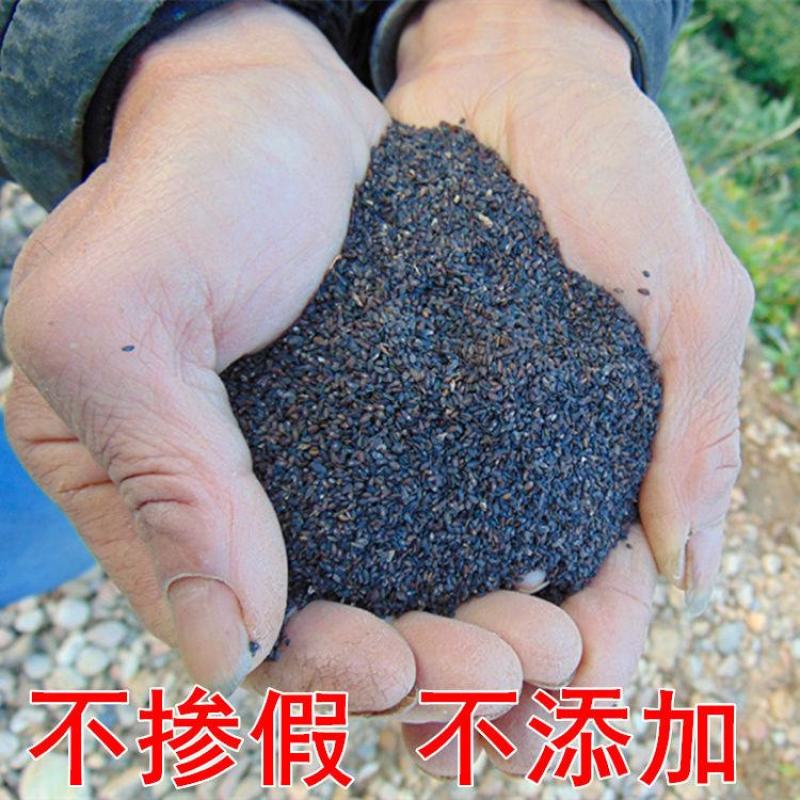【野生车前子】无硫车前子500克袋装当季新货多规格包邮