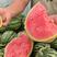 早春红玉西瓜，皮薄口感特甜，单果平均三斤左右，大量供应