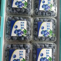辽宁丹东莱克西蓝莓产地直发，现摘现卖，保证品质，价格