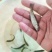 虹鳟.金鳟鱼苗价格便宜，有质量保证提供技术方面支持