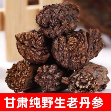 【野生丹参】甘肃丹参紫花丹参中药材无硫丹参切段包邮