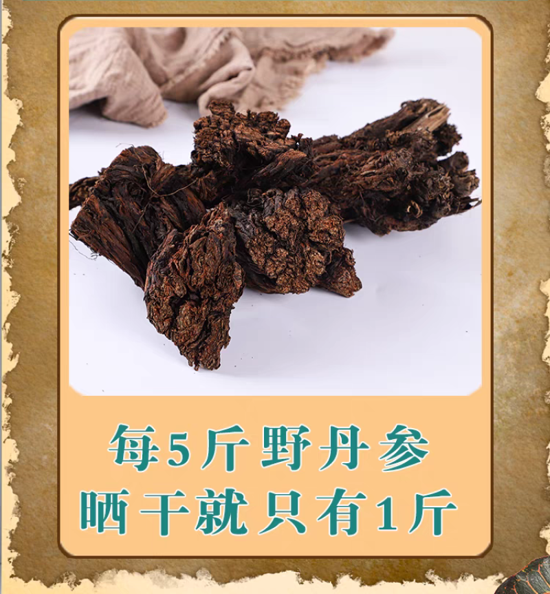 【野生丹参】甘肃丹参紫花丹参中药材无硫丹参切段包邮