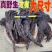 【野生丹参】甘肃丹参紫花丹参中药材无硫丹参切段包邮