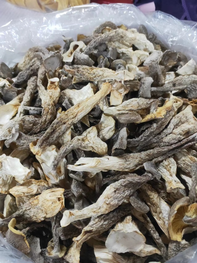 广东精品鹿茸菇干，个大肥厚，可批发零售货源充足