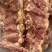 精品黄牛羽骨肉！连云港，大量供应！品质保障！