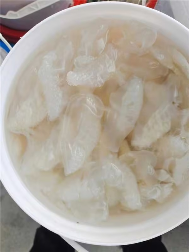 精品海蜇头海蜇丝海蜇货源充足量大从优质量保证欢迎咨询