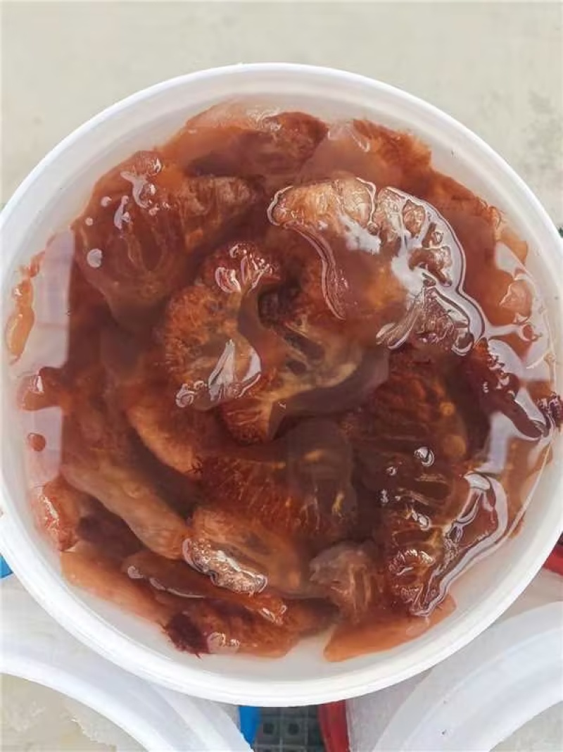 精品海蜇头海蜇丝海蜇货源充足量大从优质量保证欢迎咨询