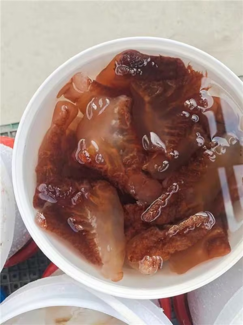精品海蜇头海蜇丝海蜇货源充足量大从优质量保证欢迎咨询