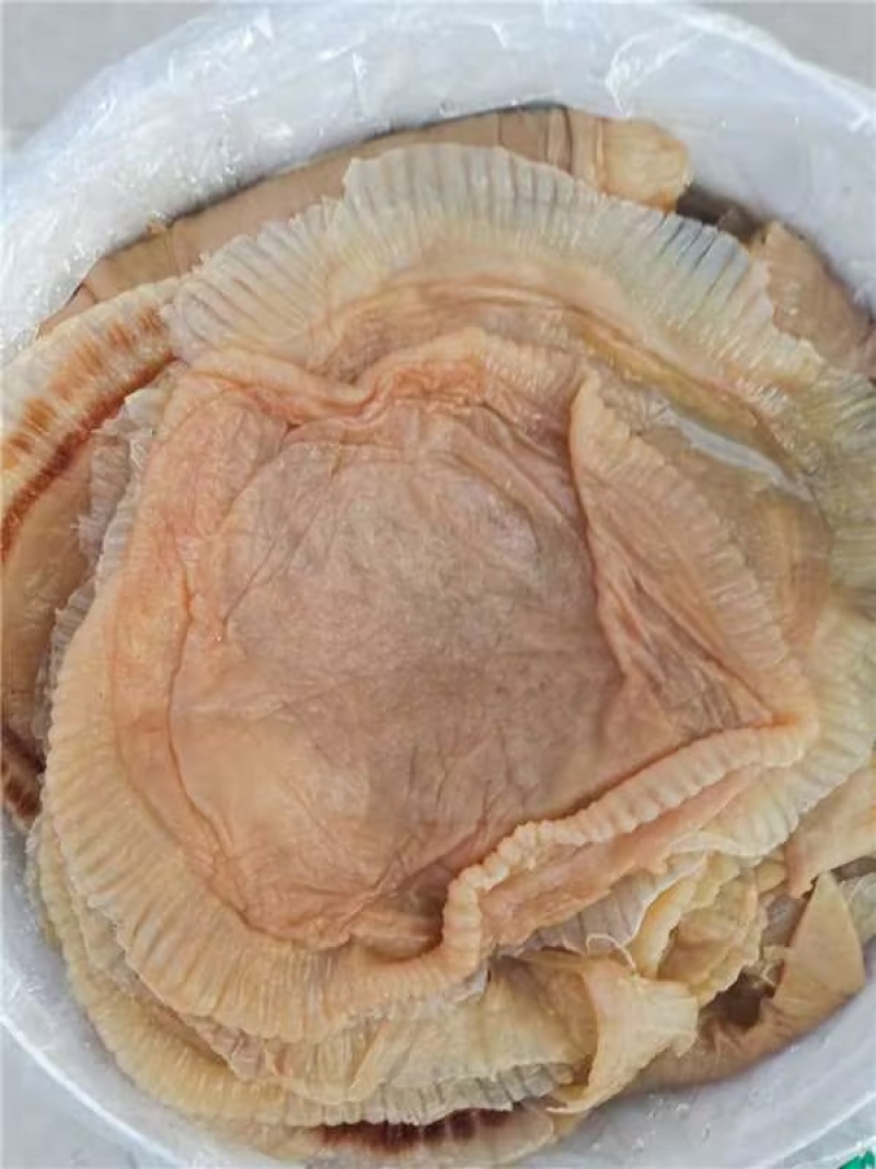 精品海蜇头海蜇丝海蜇货源充足量大从优质量保证欢迎咨询