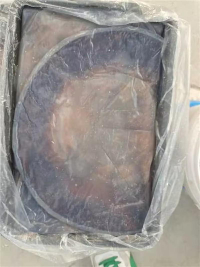 精品海蜇头海蜇丝海蜇货源充足量大从优质量保证欢迎咨询