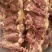精品黄牛羽骨肉！连云港，大量供应！品质保障！