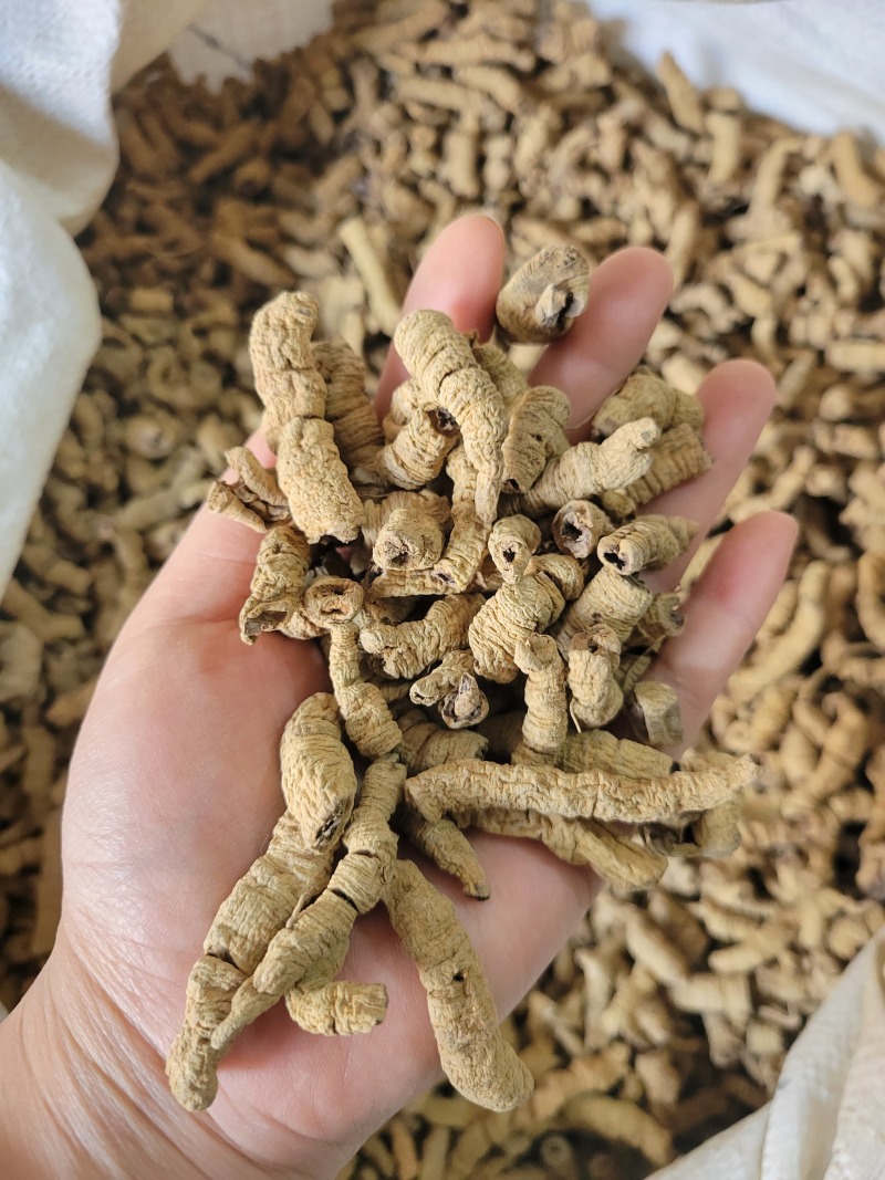 巴戟巴戟天巴戟肉多种规格大货供应七彩百草中药材批发