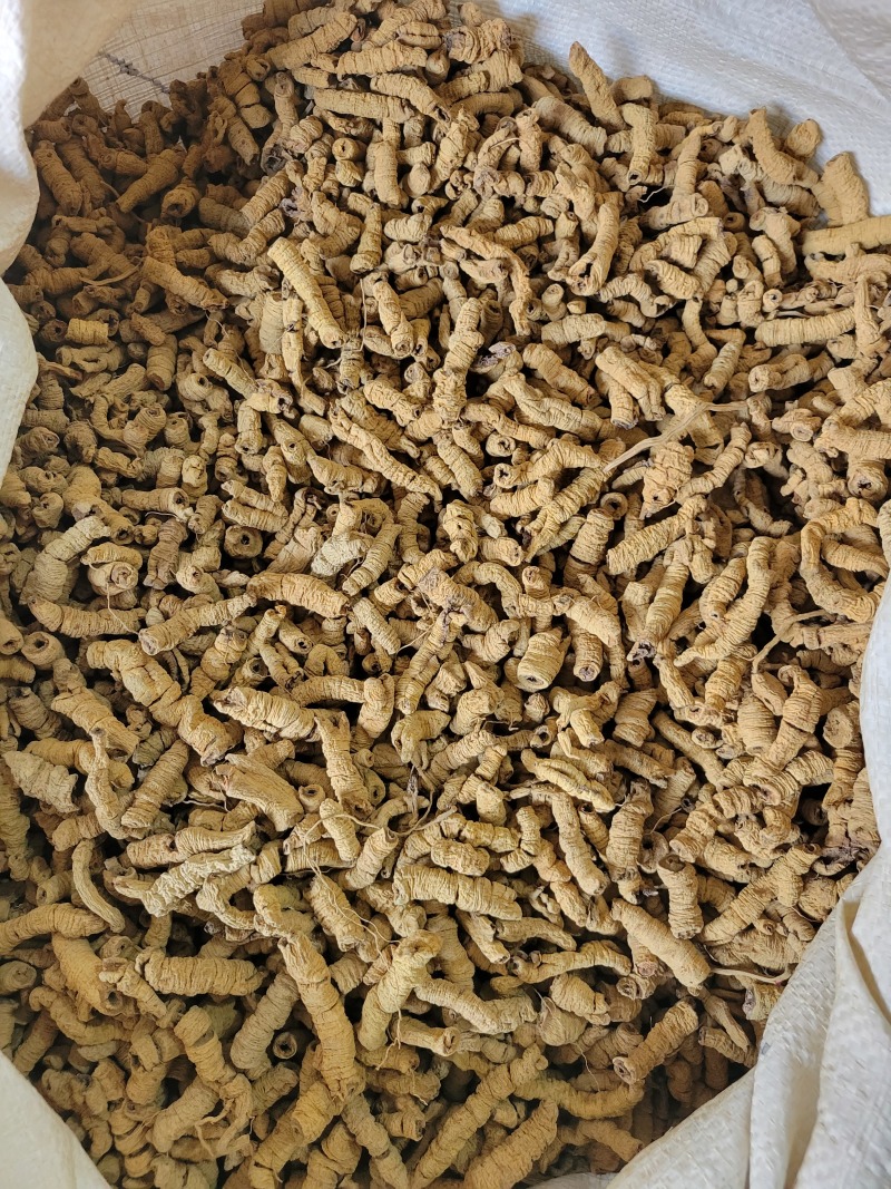 巴戟巴戟天巴戟肉多种规格大货供应七彩百草中药材批发