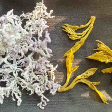 莓茶