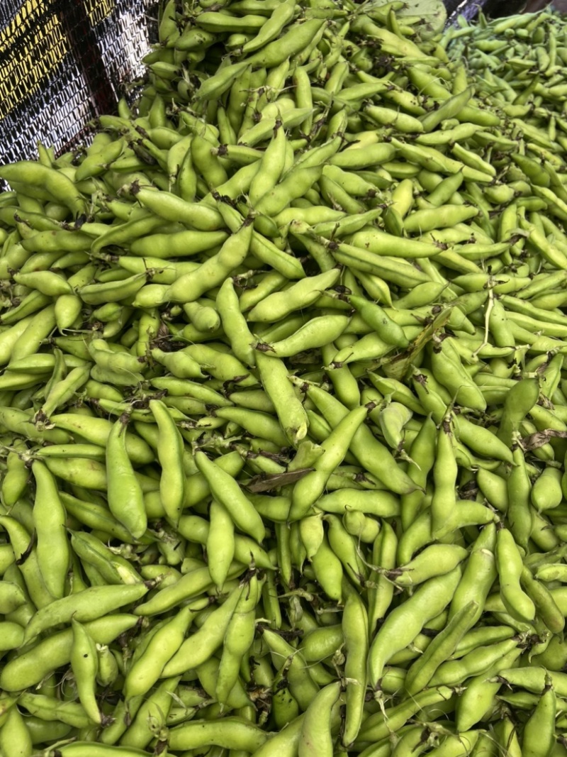简阳胡豆新鲜上市，价格便宜，服务周到。可叫车，可打包