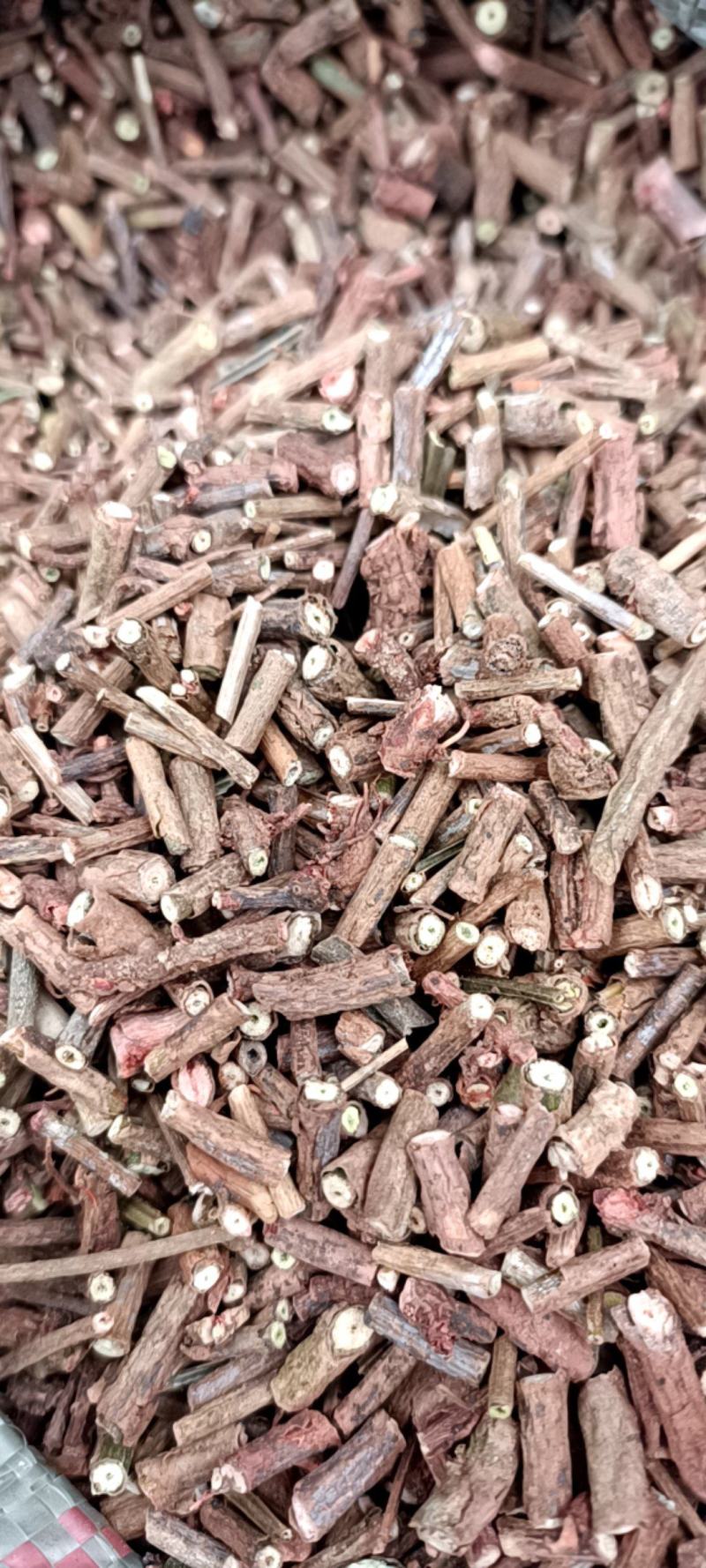 茜草
