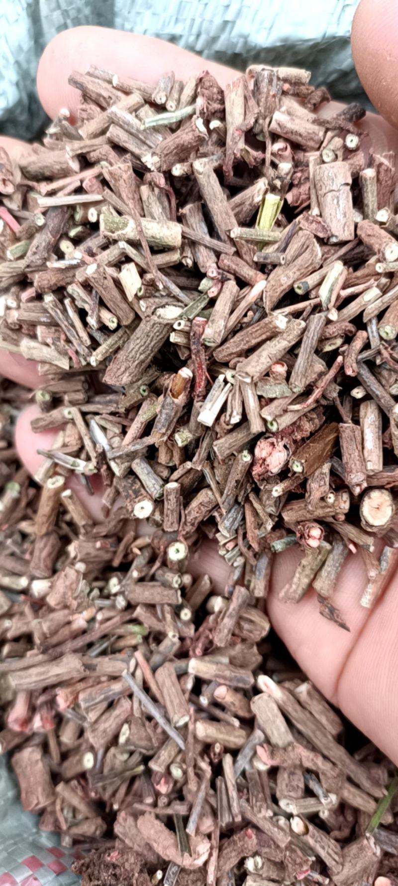 茜草