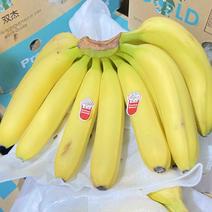二级黄蕉，巴西蕉，无硬心无黑心，品质保质量一手货源充足