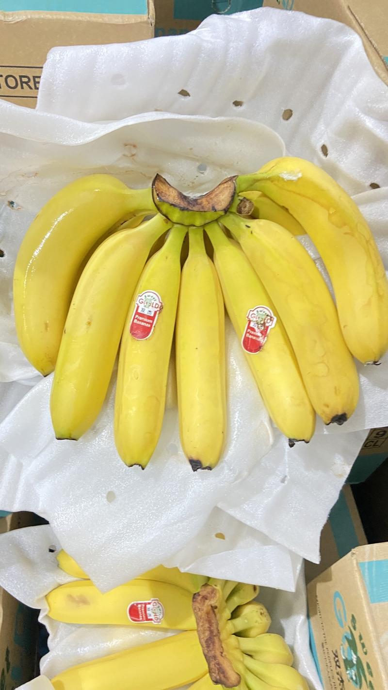 二级黄蕉，巴西蕉，无硬心无黑心，品质保质量一手货源充足
