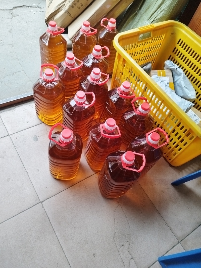 油茶野生油茶茶油
