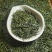 明前新茶一级恩施玉露批发