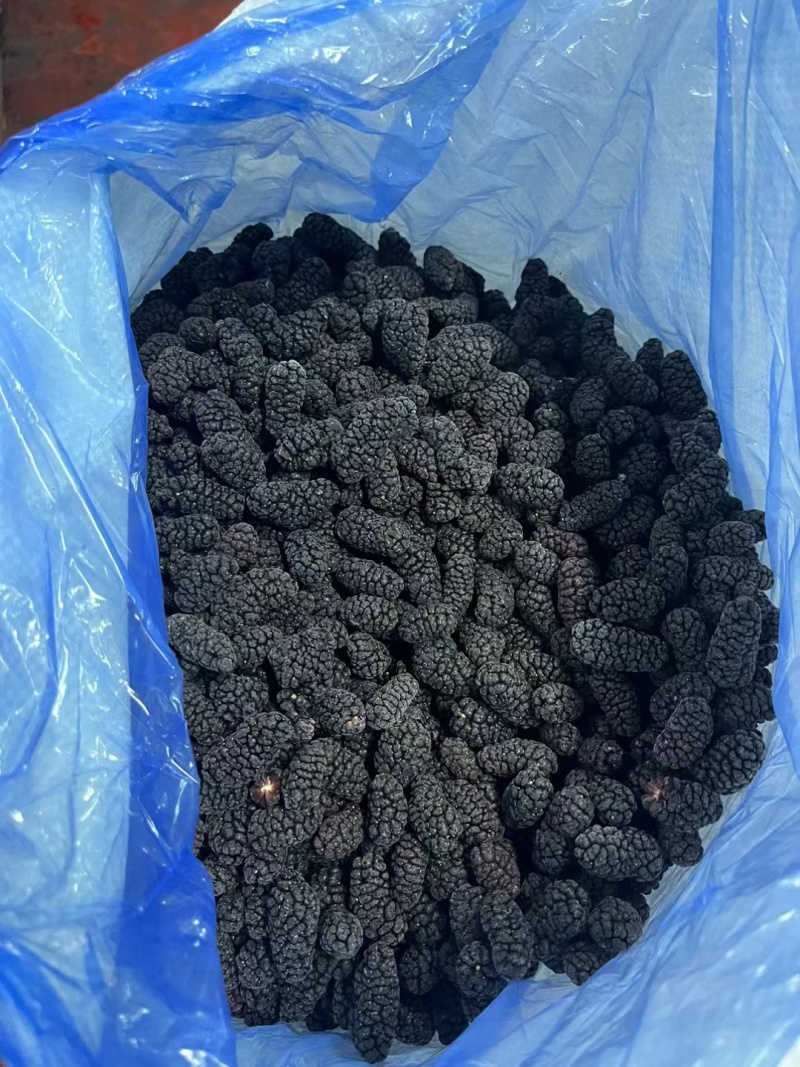 大凉山桑葚泡酒桑葚榨汁桑葚打浆桑葚饮料厂原料酒厂原料代收