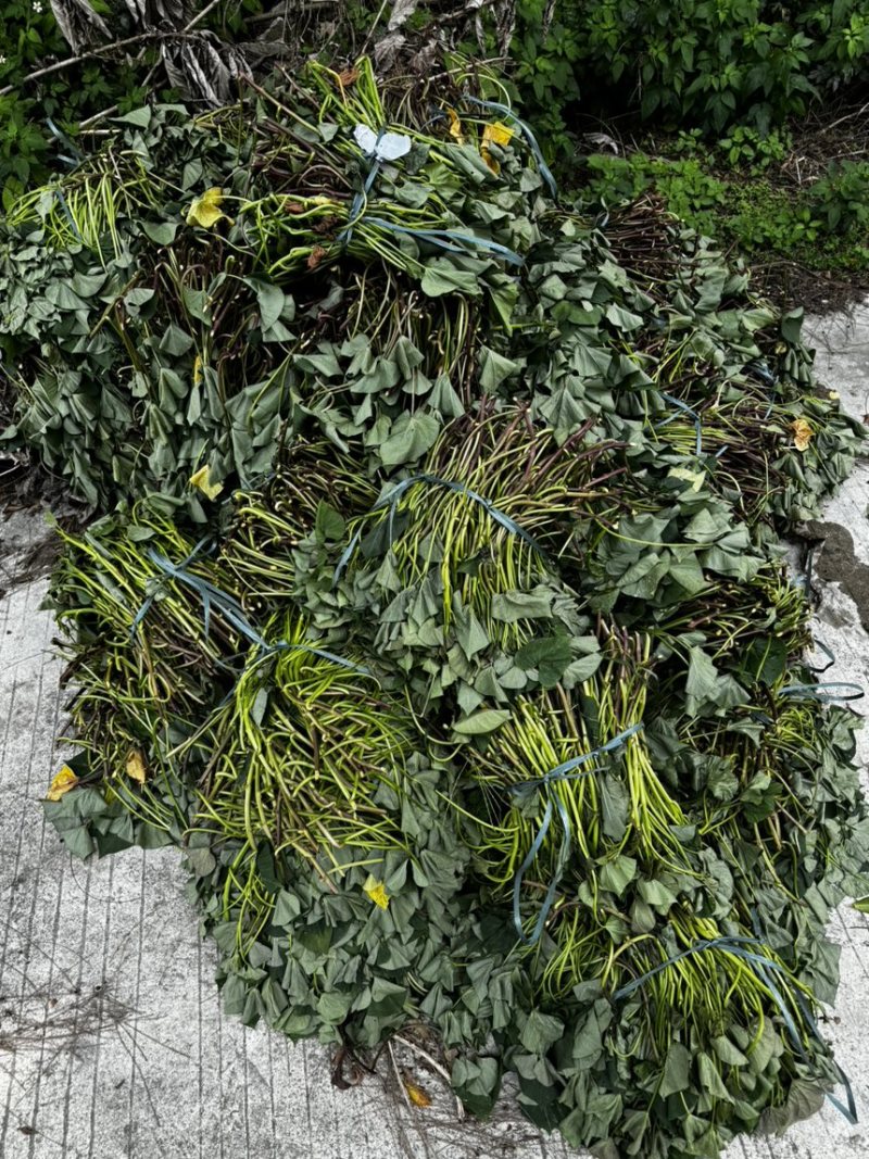 慕菲乐丝滑