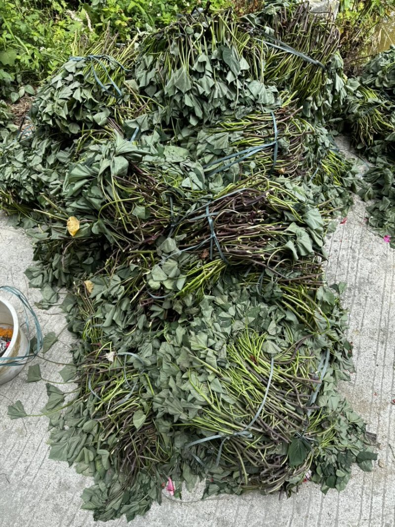 慕菲乐丝滑