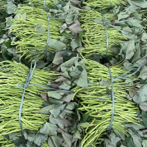 榴莲蜜薯