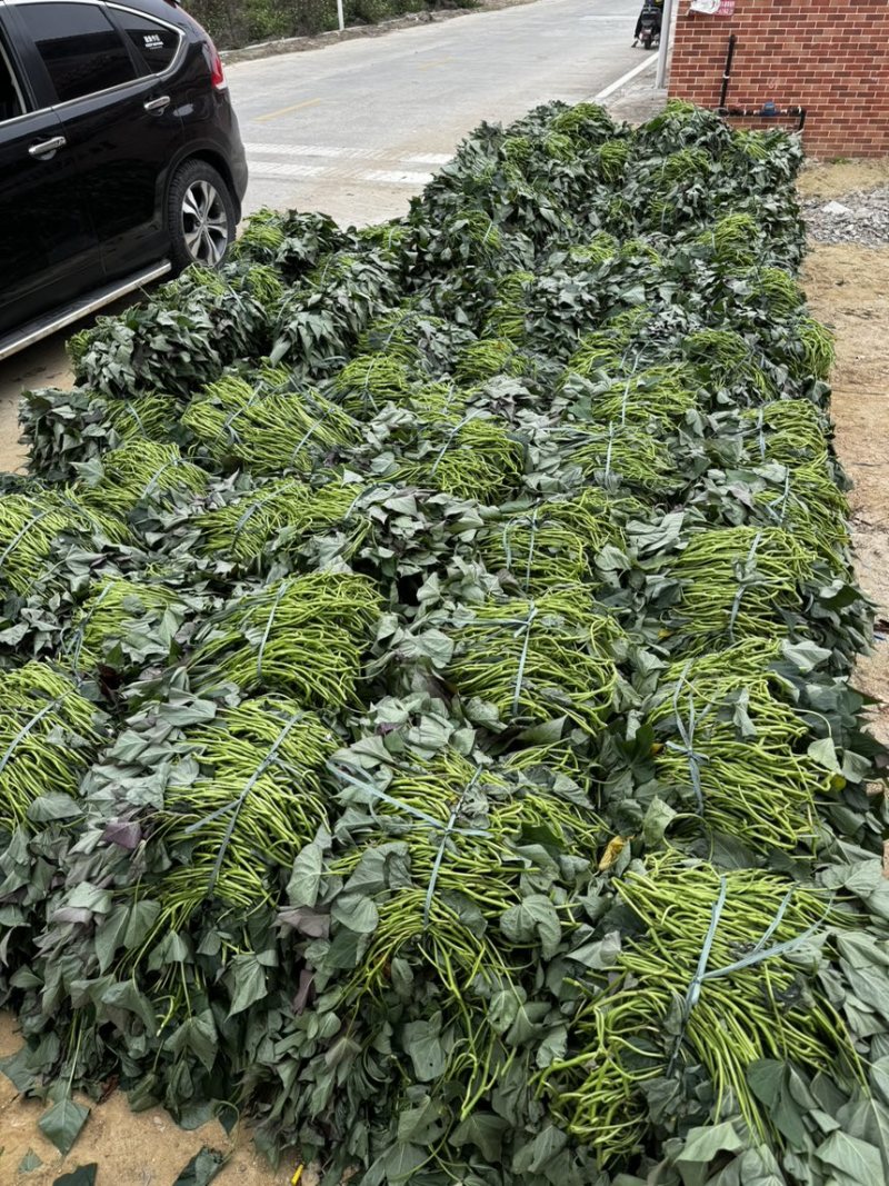 榴莲蜜薯