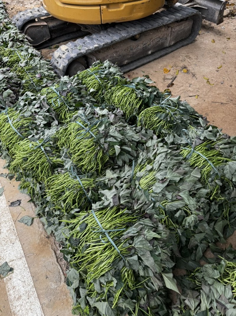 榴莲蜜薯