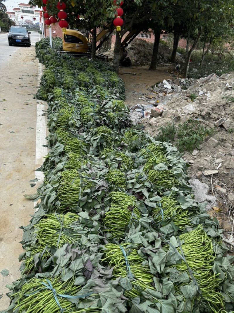 榴莲蜜薯