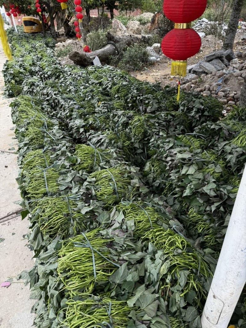 榴莲蜜薯