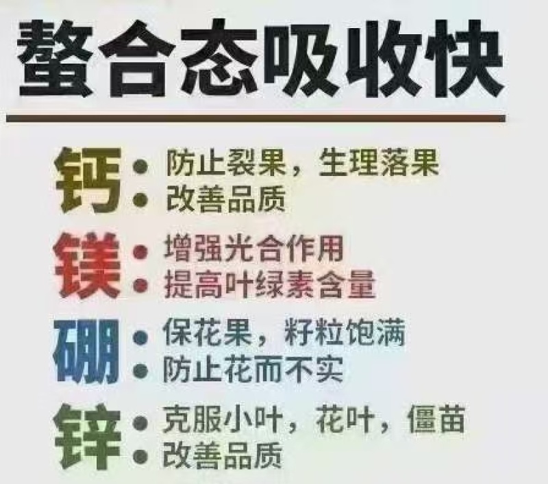 中量元素水溶肥钙镁硼锌