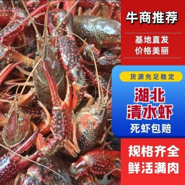 湖北潜江小龙虾洪湖清水虾,产地直发,全国包邮运输死包赔