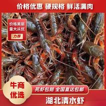 潜江洪湖清水小龙虾，产地直发，一手货源，价格优惠坏死包赔