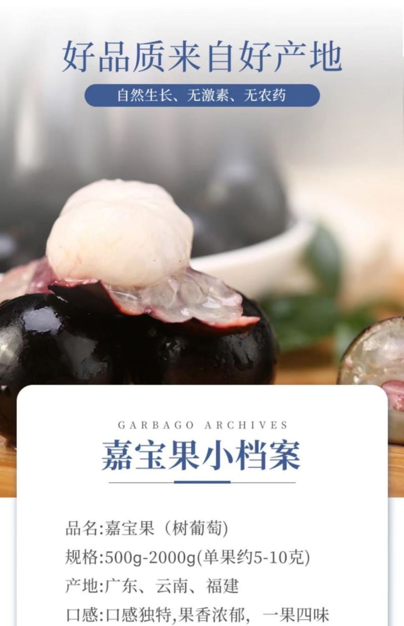 嘉宝果产地直供