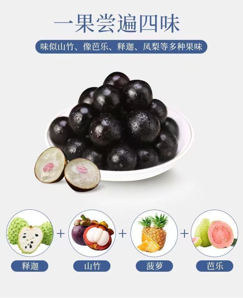 嘉宝果产地直供