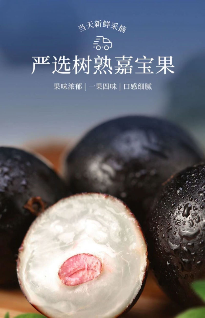 嘉宝果产地直供