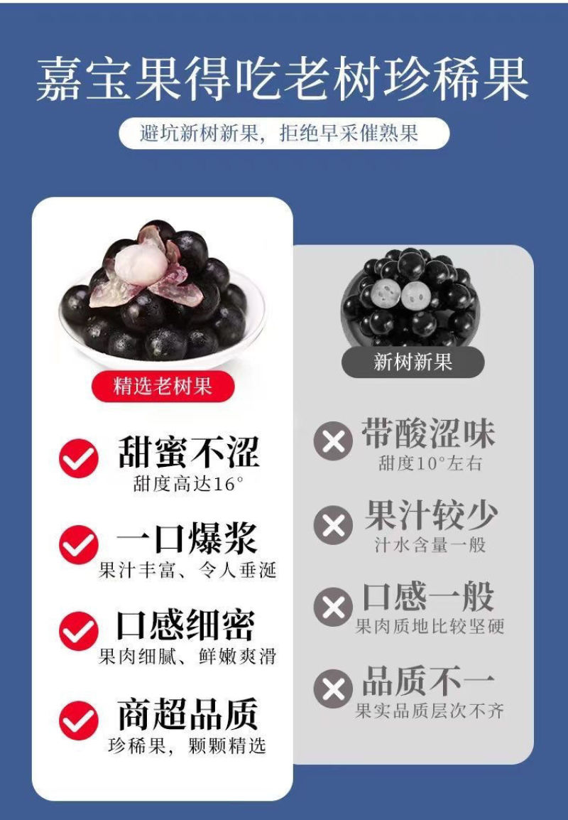 嘉宝果产地直供