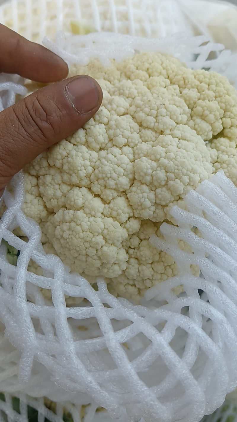 有机花菜