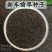 车前草种子，食用野菜种籽中药材车轮菜籽野生车前子四季蔬菜
