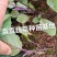 茄子苗长墨茄苗，口感好