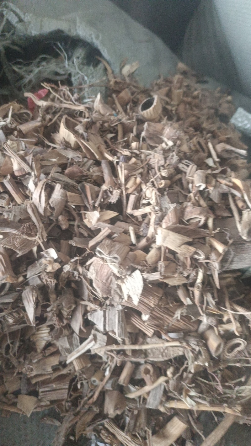 药厂芦根大货