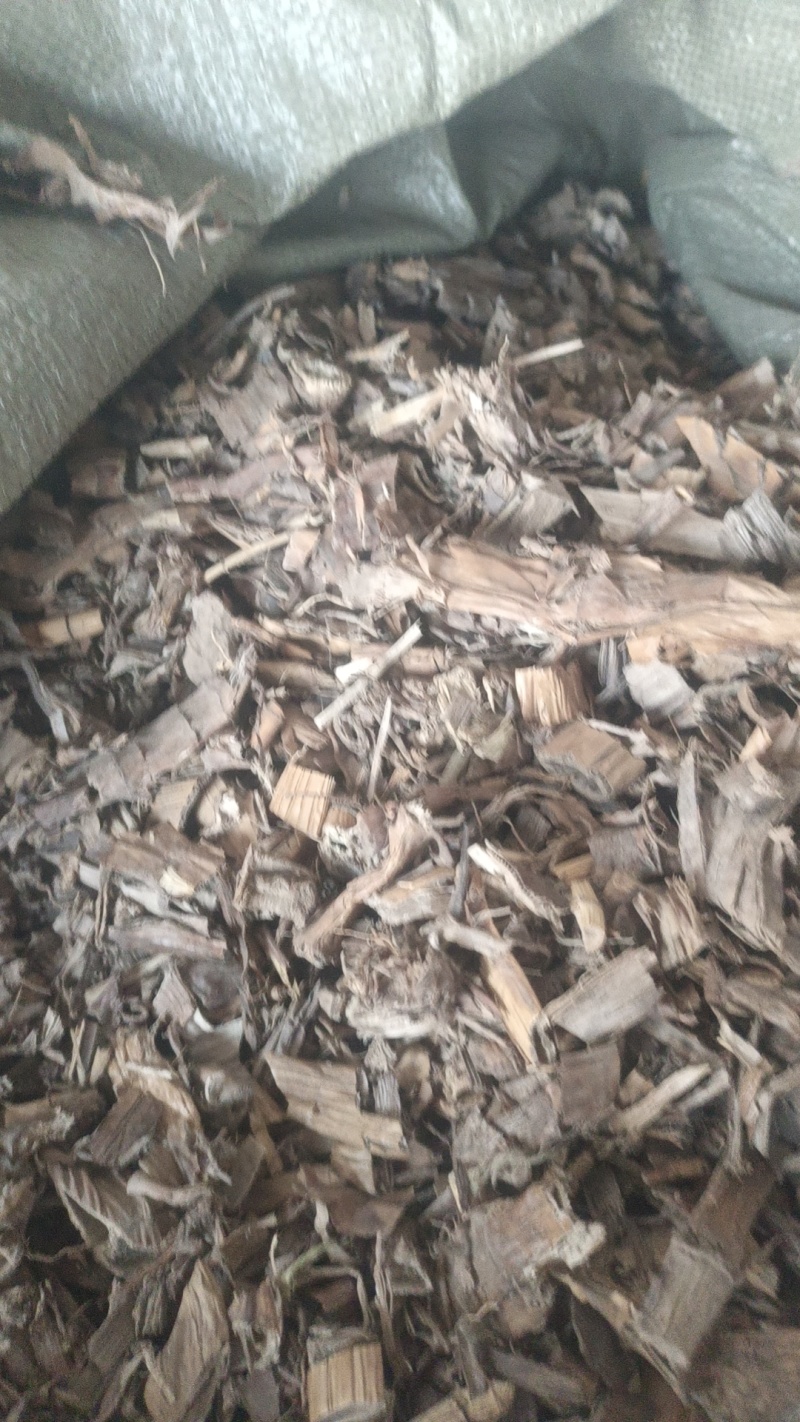 药厂芦根大货