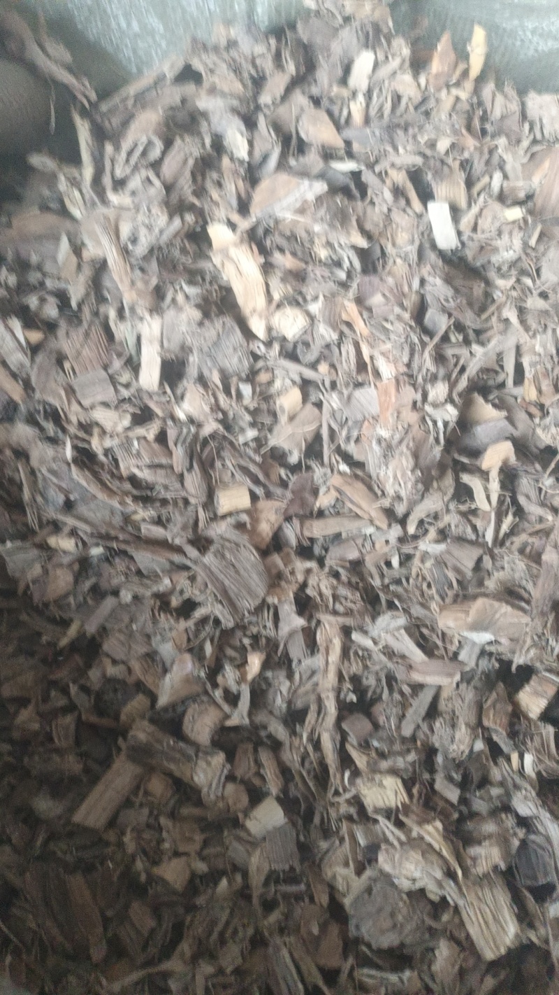 药厂芦根大货